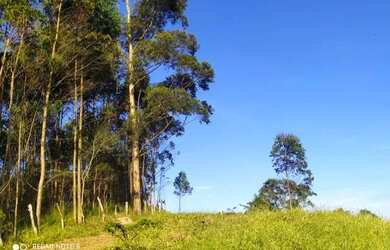 Imagem: O terreno possui 600m² de Área e está localizado em Piracaia