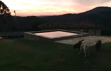 Imagem: A fazenda possui 70.000m² de Área e está localizado em Savassi