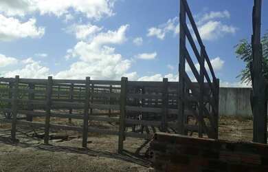 Imagem 8: Excelente Fazenda com 95 hectares na região de vera cruz