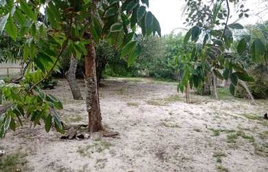 Imagem 8: SAQUAREMA - Casa Padrão - GRAVATÁ