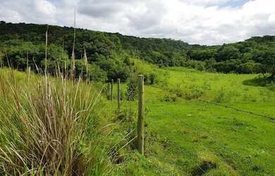 Imagem: O terreno está localizado em Monte Castelo, São Luís à venda