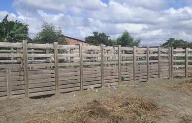 Imagem 16: Excelente Fazenda com 95 hectares na região de vera cruz