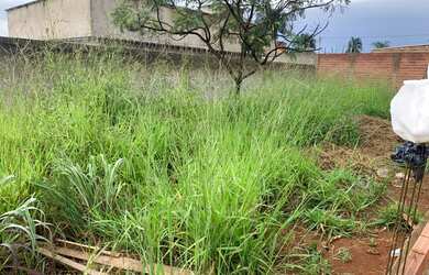 Imagem 2: Lote/Terreno para venda com 200 metros quadrados em Fazenda Dourados -...
