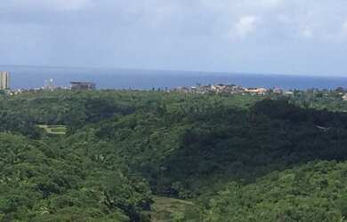 Imagem 6: Apartamento para venda tem 72 metros quadrados com 3 quartos em Patamares...