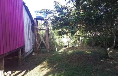 Imagem 11: Chácara por 50 mil. 