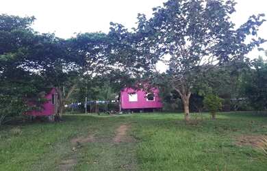 Imagem 2: Chácara por 50 mil. 