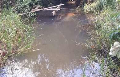 Imagem 6: Chácara por 50 mil. 