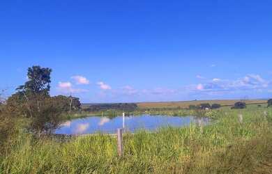 Imagem 3: 313 alqueires em caiapónia