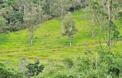 Imagem: A chácara possui 24.000m² de Área e está localizado em