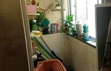 Imagem 10: Apartamento à venda Avenida Nemoto, São Sebastião - Porto Alegre