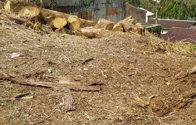 Imagem 10: Terreno à venda, 375 m² por R$ 138.000,00 - Velha - Blumenau/SC