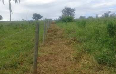 Imagem 3: Chacara 18 mil metros santa rosa 72 km apenas 2 ka de estrada de chão.boa