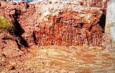 Imagem: O terreno possui 290m² de Área e está localizado em Vila