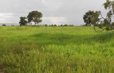 Imagem: A fazenda está localizado em Doverlândia, GO à venda por