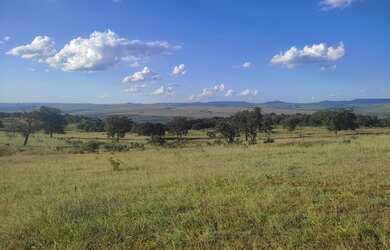 Imagem 11: 313 alqueires em caiapónia