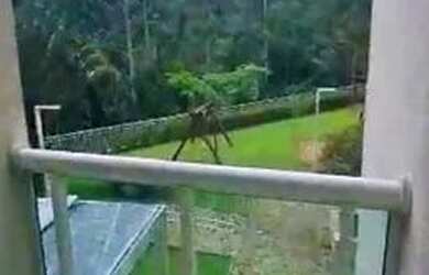 Imagem 11: Apartamento 173 m no Tamboré - Santana de Parnaíba - SP