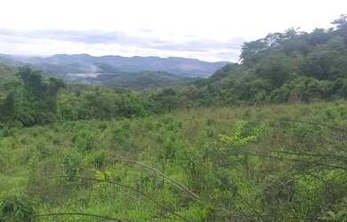 Imagem 4: Fazenda 34 hectares com muita água em bairreras Bonfim mg