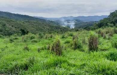Imagem 2: Fazenda 34 hectares com muita água em bairreras Bonfim mg