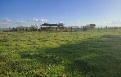 Imagem 16: 313 alqueires em caiapónia