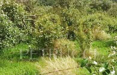 Imagem: O terreno possui 20.000m² de Área e está localizado em Pedreira