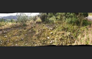 Imagem 8: CAXIAS DO SUL - Terreno Padrão - Ana Rech