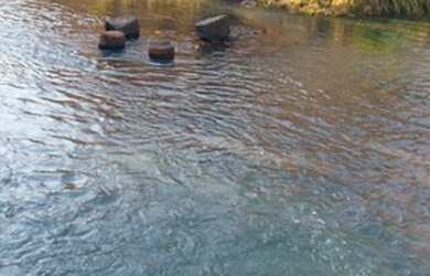 Imagem 2: Fazenda 193 Hectares Região De Carneirinho/MG