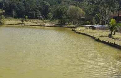 Imagem 4: Vendo chácara linda chácara em Juquiá SP 4700mts