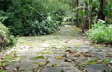 Imagem 3: Lindo Sítio no Bairro da Maravilha - Paty do Alferes/RJ