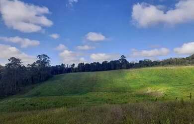 Imagem 3: Lote/Terreno para venda tem 500 metros quadrados em Jardim Helena - Carapicuíba...