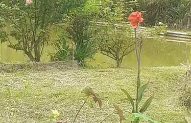 Imagem 3: Vendo chácara linda chácara em Juquiá SP 4700mts