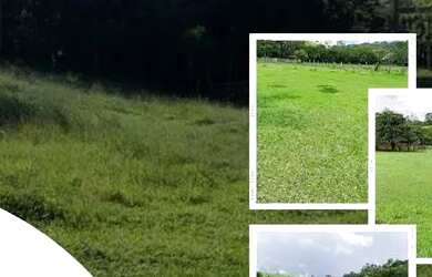 Imagem: O terreno possui 600m² de Área e está localizado em Centro