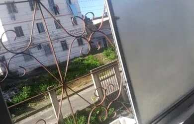 Imagem: O apartamento possui 2 Dormitórios e 1 Banheiro e está localizado