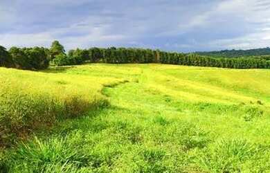 Imagem 9: Lote/Terreno para venda tem 500 metros quadrados em Jardim Helena - Carapicuíba...