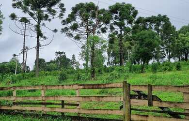Imagem: A chácara está localizado em Lajeado, São Mateus do Sul à