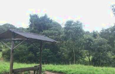 Imagem 8: Fazenda à venda, 45 Alqueires por R$ 7.000.000 - Zona Rural - Pirenópolis/GO