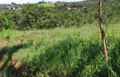 Imagem 7: Corumbá 4 poucos vizinhos