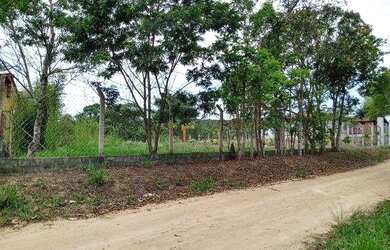 Imagem 4: Terreno à venda, 2500 m² por R$ 320.000 - Biritiba Ussu - Mogi das Cruzes/SP