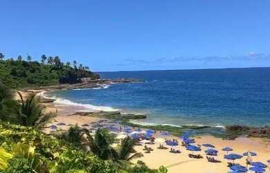 Imagem 4: Apartamento à venda no bairro Rio Vermelho - Salvador/BA