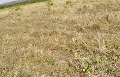 Imagem: A fazenda e está localizado em Montes Claros de Goiás, GO