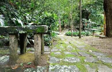 Imagem 5: Lindo Sítio no Bairro da Maravilha - Paty do Alferes/RJ