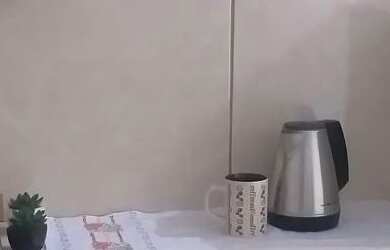 Imagem 7: Quitinete em Caxias