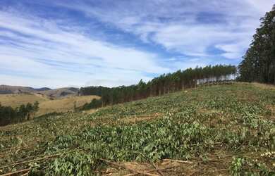 Imagem 13: Terreno maravilhoso. 1.000m² de Área