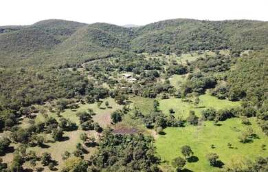 Imagem 7: Fazenda à venda, 45 Alqueires por R$ 7.000.000 - Zona Rural - Pirenópolis/GO