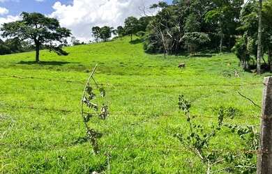 Imagem 3: lf- Vende- se terreno para você e sua família