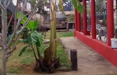 Imagem 5: vendoalugooutroco. 741m² de Área, 4 Vagas na garageme2 Dormitórios