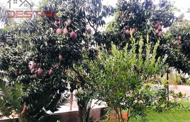 Imagem 12: Residencial - Jundiai Mirim