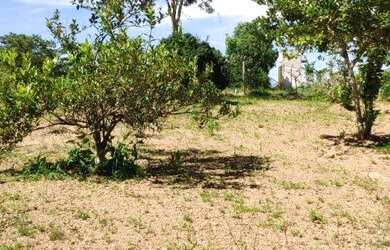 Imagem 14: Corumbá 4 poucos vizinhos