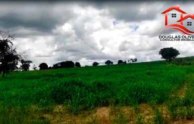 Imagem 3: Fazenda 193 Hectares Região De Carneirinho/MG