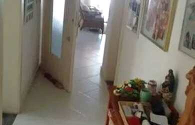 Imagem 10: Venda Casa Itapuã Salvador