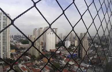 Imagem 12: Vila Leopoldina, raridade